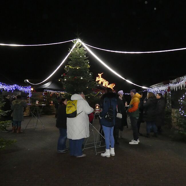 Blick auf den Platz: Geschmückte und beleuchtete Weihnachtsbuden, Weihnachtsbäume und Menschen vom Drehpunkt